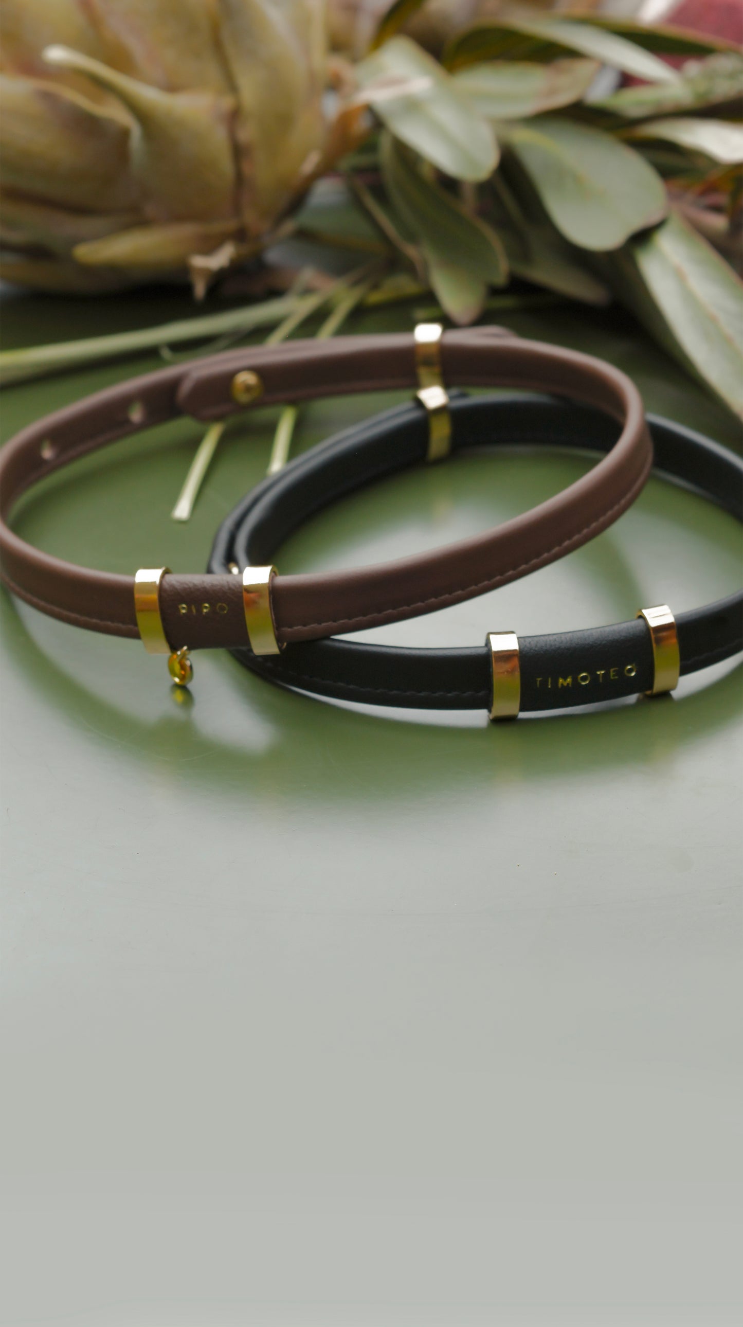PET NECKLACE