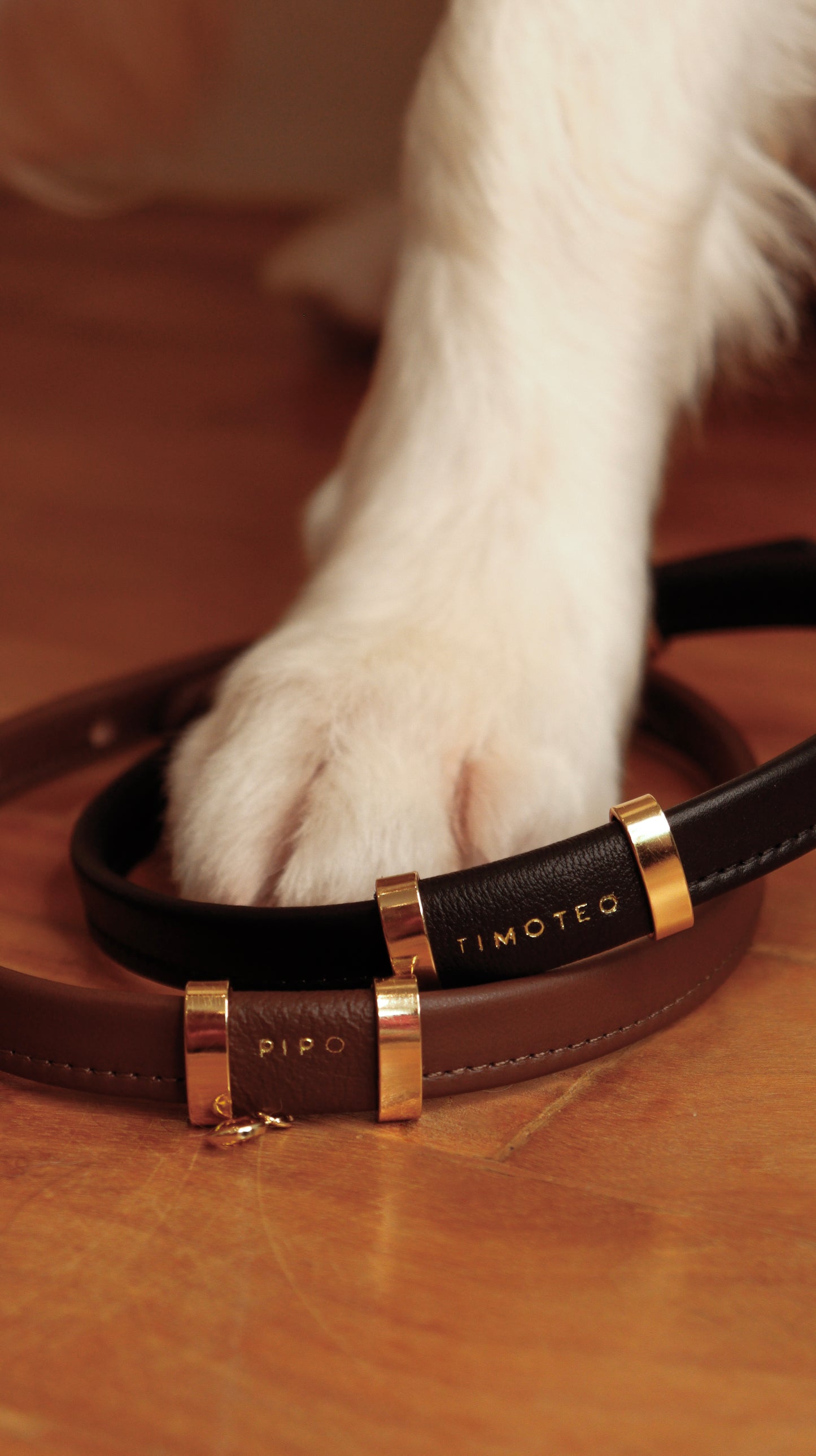 PET NECKLACE
