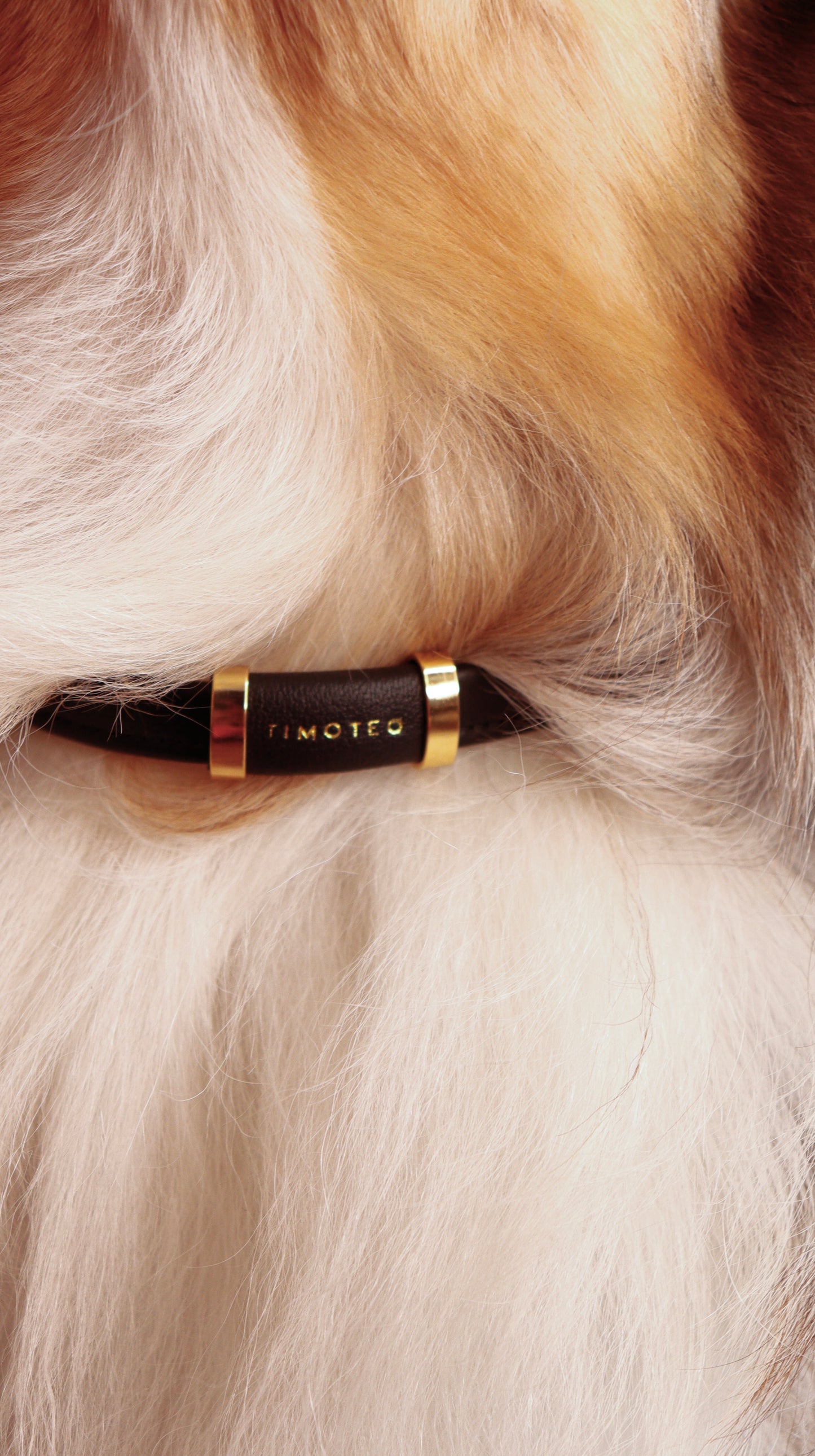 PET NECKLACE